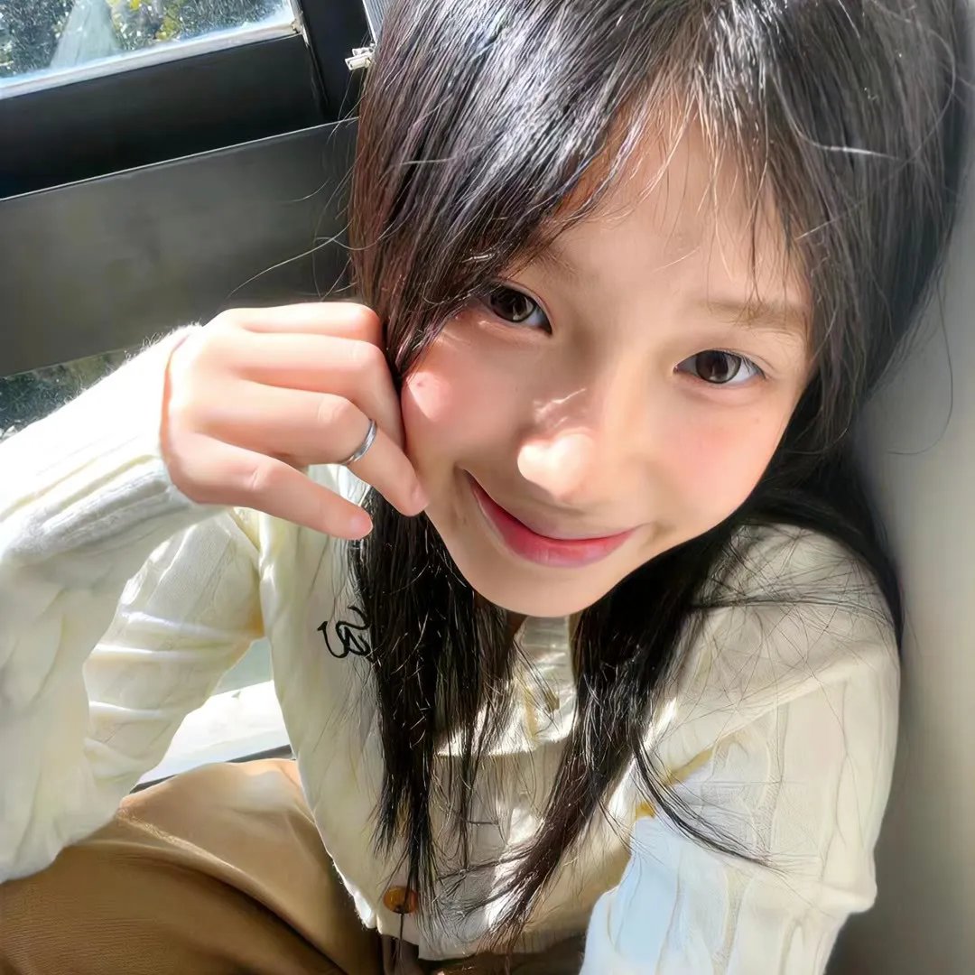 完美伴侣